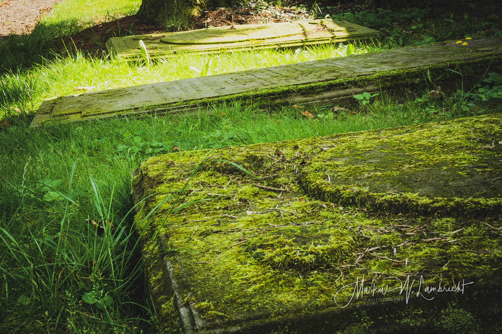 Zierenberg Jüdischer Friedhof